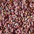 Chinese Yard Long Bean